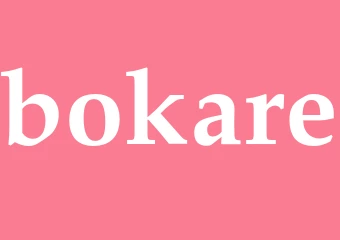 Synonym bokare