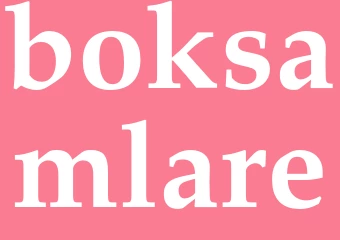 Synonym boksamlare