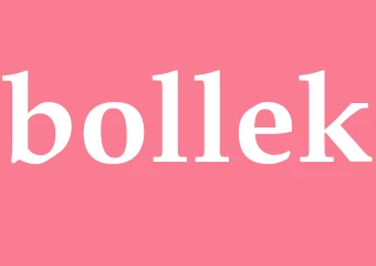 Synonym bollek