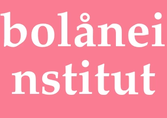 Synonym bolåneinstitut
