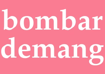 Synonym bombardemang