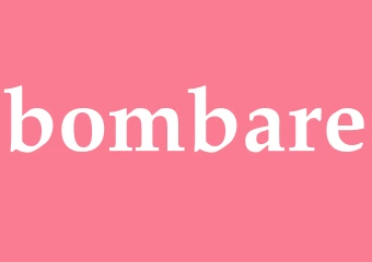 Synonym bombare