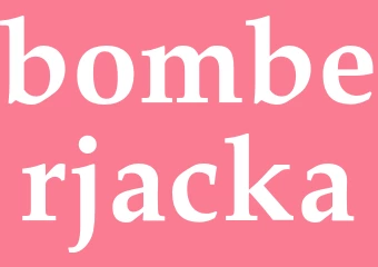 Synonym bomberjacka