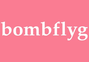 Synonym bombflyg