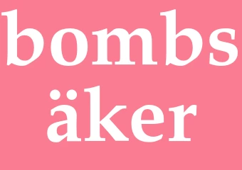 Synonym bombsäker