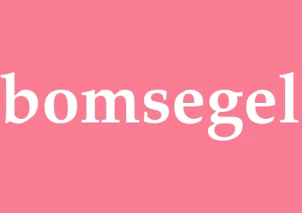 Synonym bomsegel