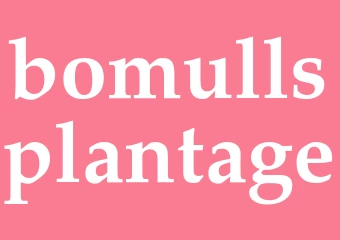 Synonym bomullsplantage