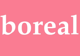 Synonym boreal