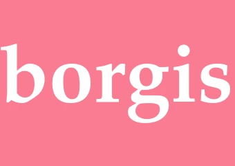 Synonym borgis