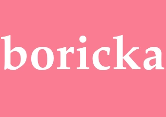 Synonym boricka