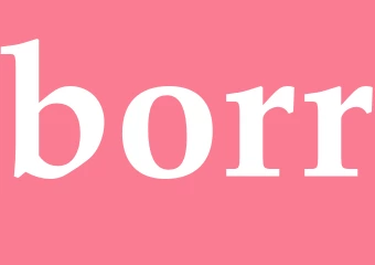 Synonym borr