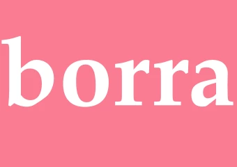 Synonym borra