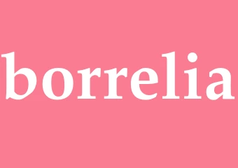 Synonym borrelia