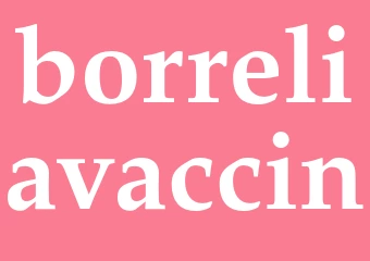 Synonym borreliavaccin