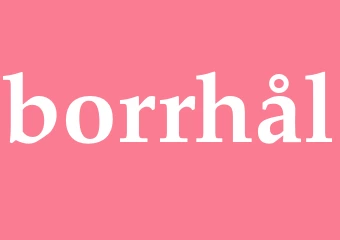 Synonym borrhål