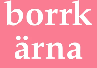 Synonym borrkärna