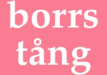 Synonym borrstång