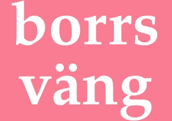 Synonym borrsväng