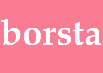 Synonym borsta