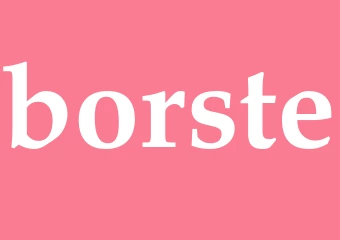 Synonym borste