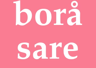 Synonym boråsare