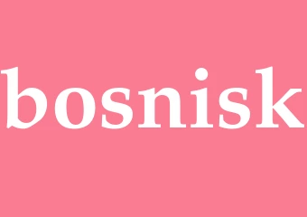 Synonym bosnisk
