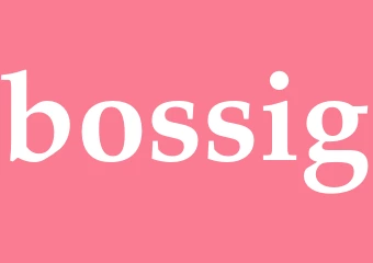Synonym bossig
