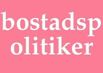 Synonym bostadspolitiker