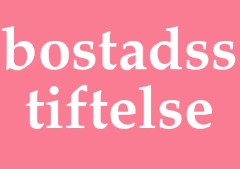 Synonym bostadsstiftelse