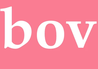 Synonym bov