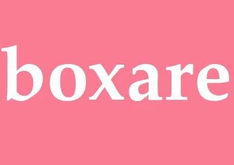 Synonym boxare