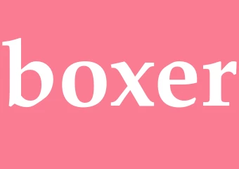 Synonym boxer