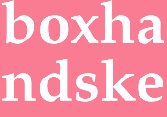 Synonym boxhandske