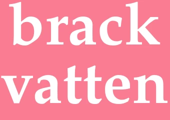 Synonym brackvatten
