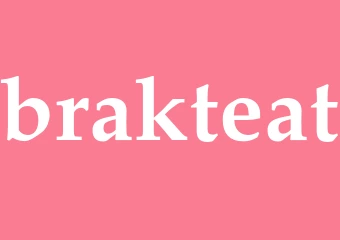 Synonym brakteat