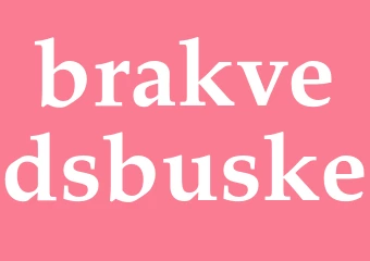 Synonym brakvedsbuske