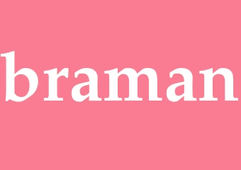 Synonym braman
