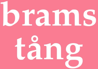Synonym bramstång
