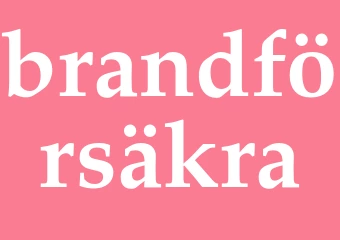Synonym brandförsäkra