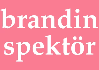 Synonym brandinspektör