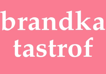 Synonym brandkatastrof