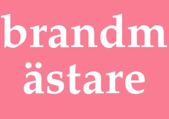 Synonym brandmästare