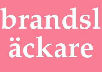 Synonym brandsläckare