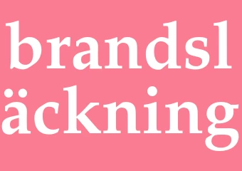 Synonym brandsläckning