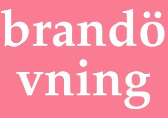 Synonym brandövning