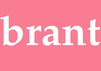 Synonym brant