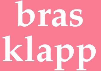 Synonym brasklapp