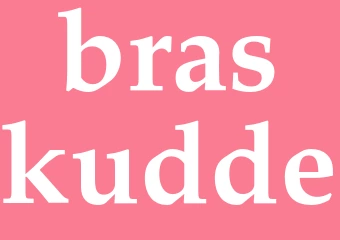 Synonym braskudde