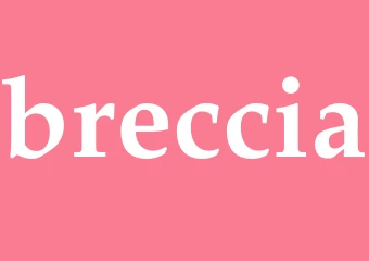 Synonym breccia