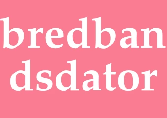 Synonym bredbandsdator